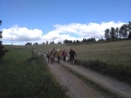 IMG_20180701_102633